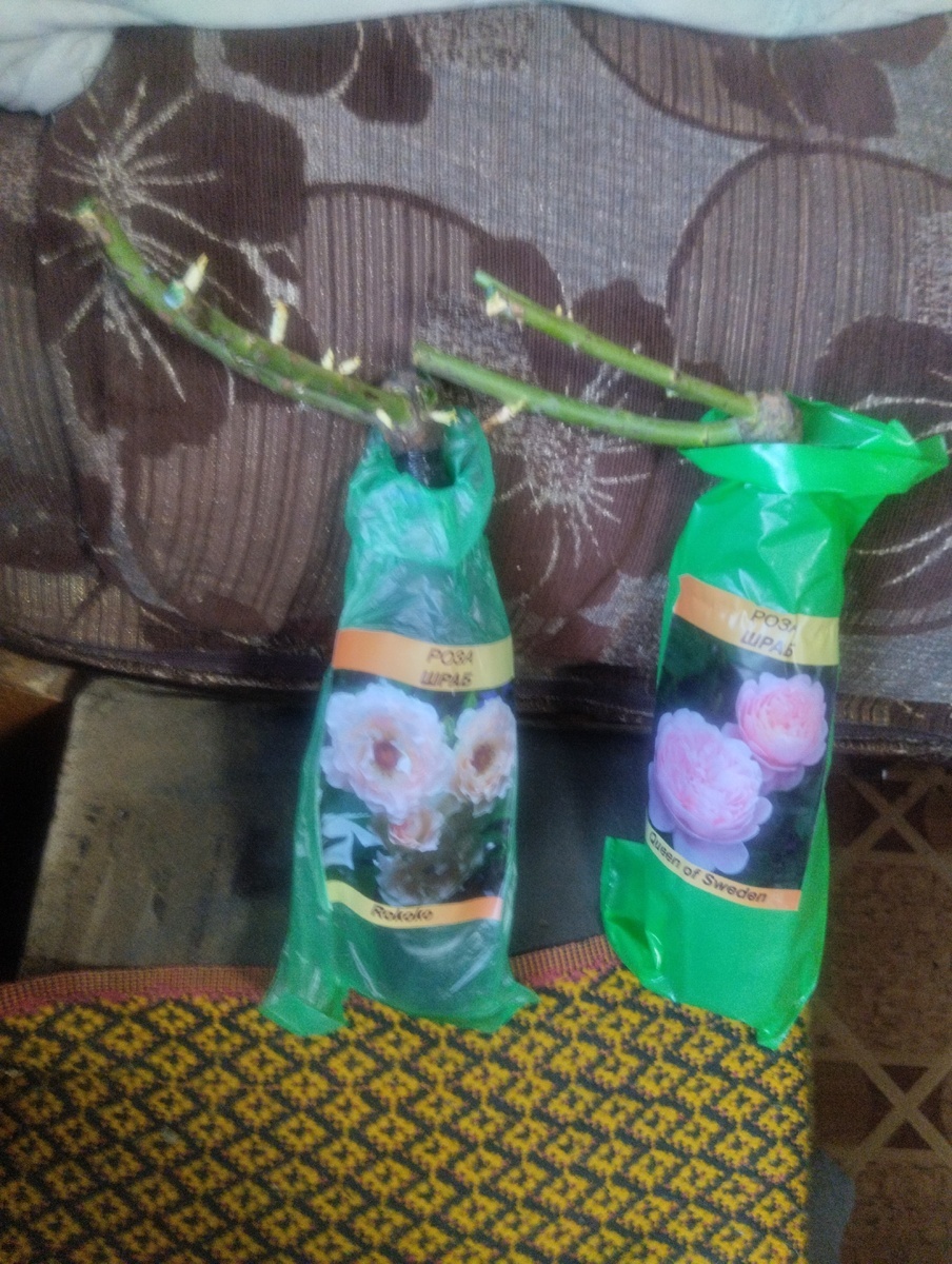 фото Татьяны