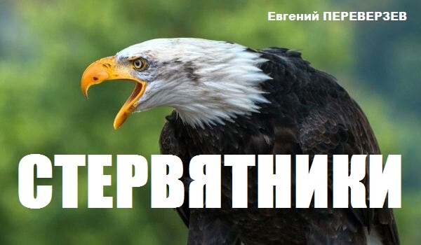 Стервятники