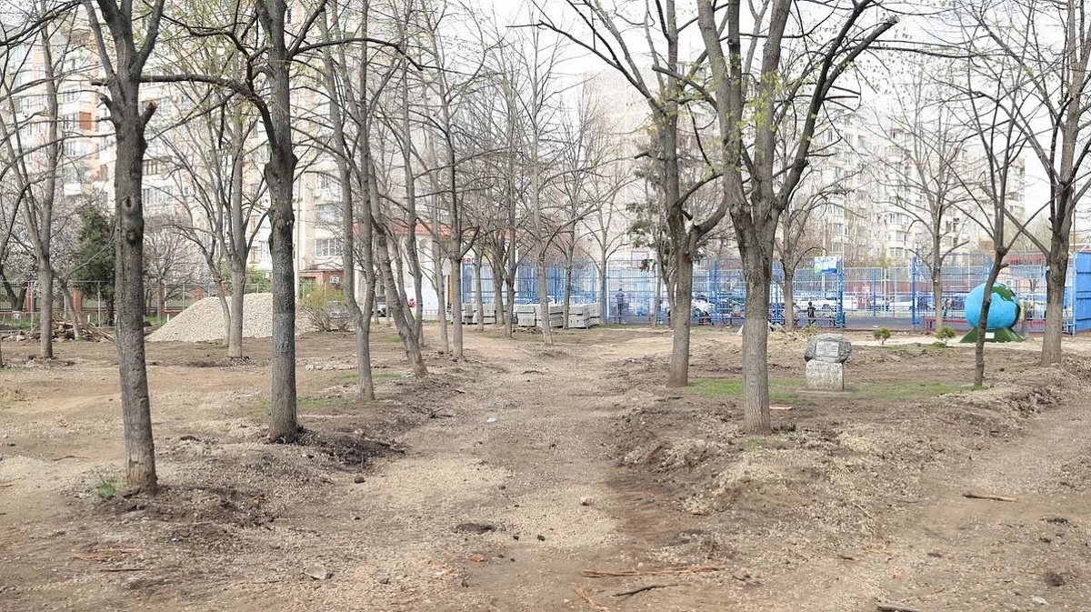 Фото: пресс-служба администрации Краснодара