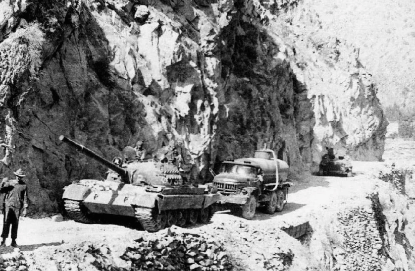 фото из интернета.