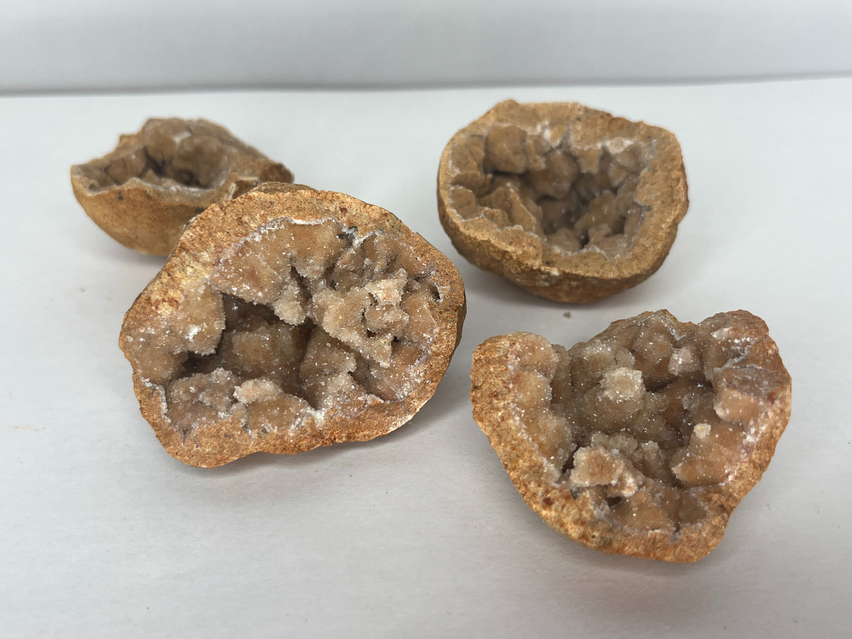 Карбонатно-глинистые конкреции-жеоды, самосбор, Белгородский район.