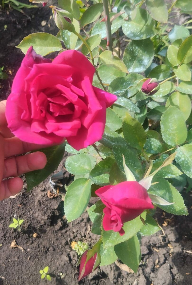 фото Татьяны