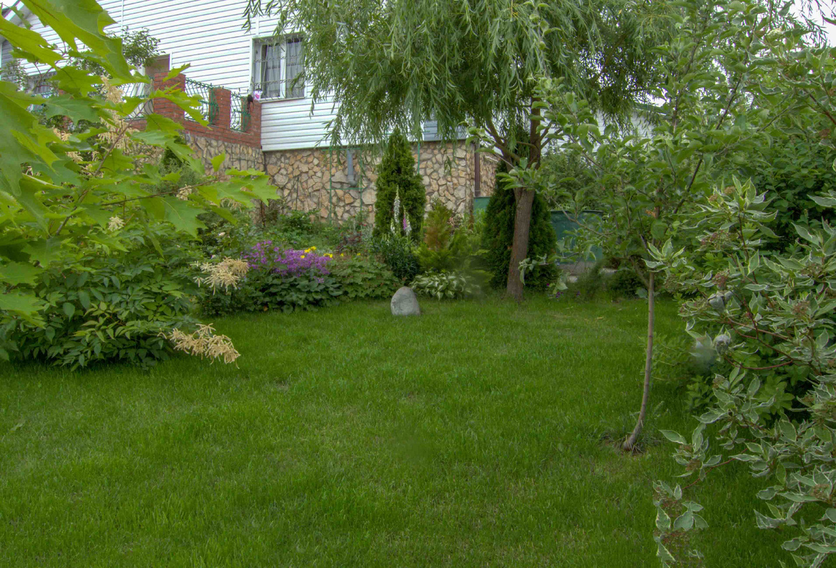 Сад. фото автора.