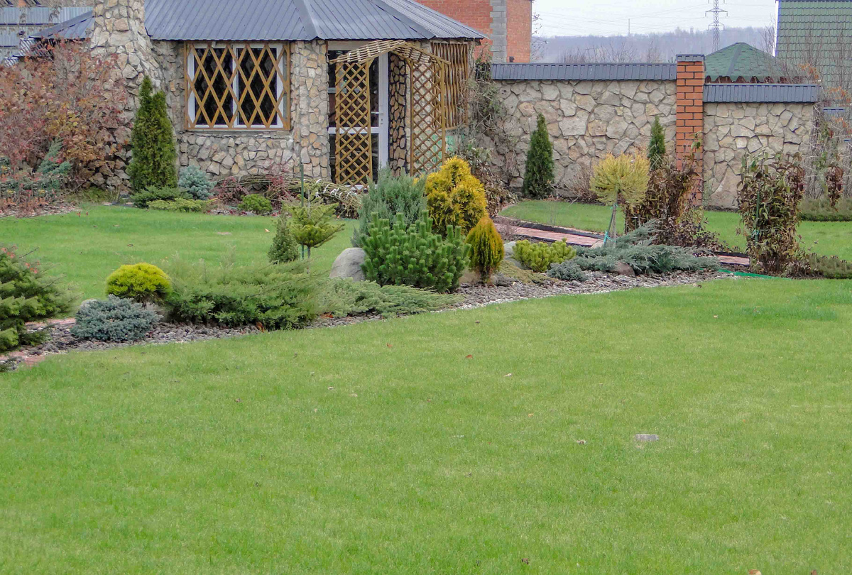 Сад с хвойниками интересен в любое время года. фото автора.