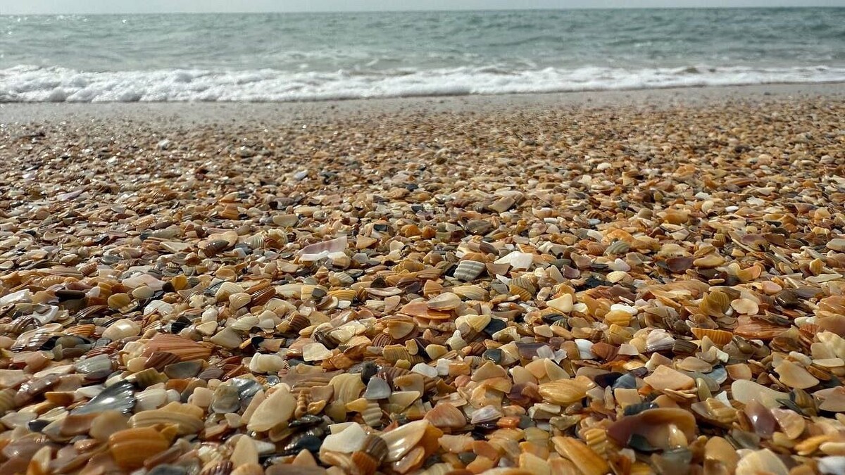    Фото: телеканал «Краснодар»