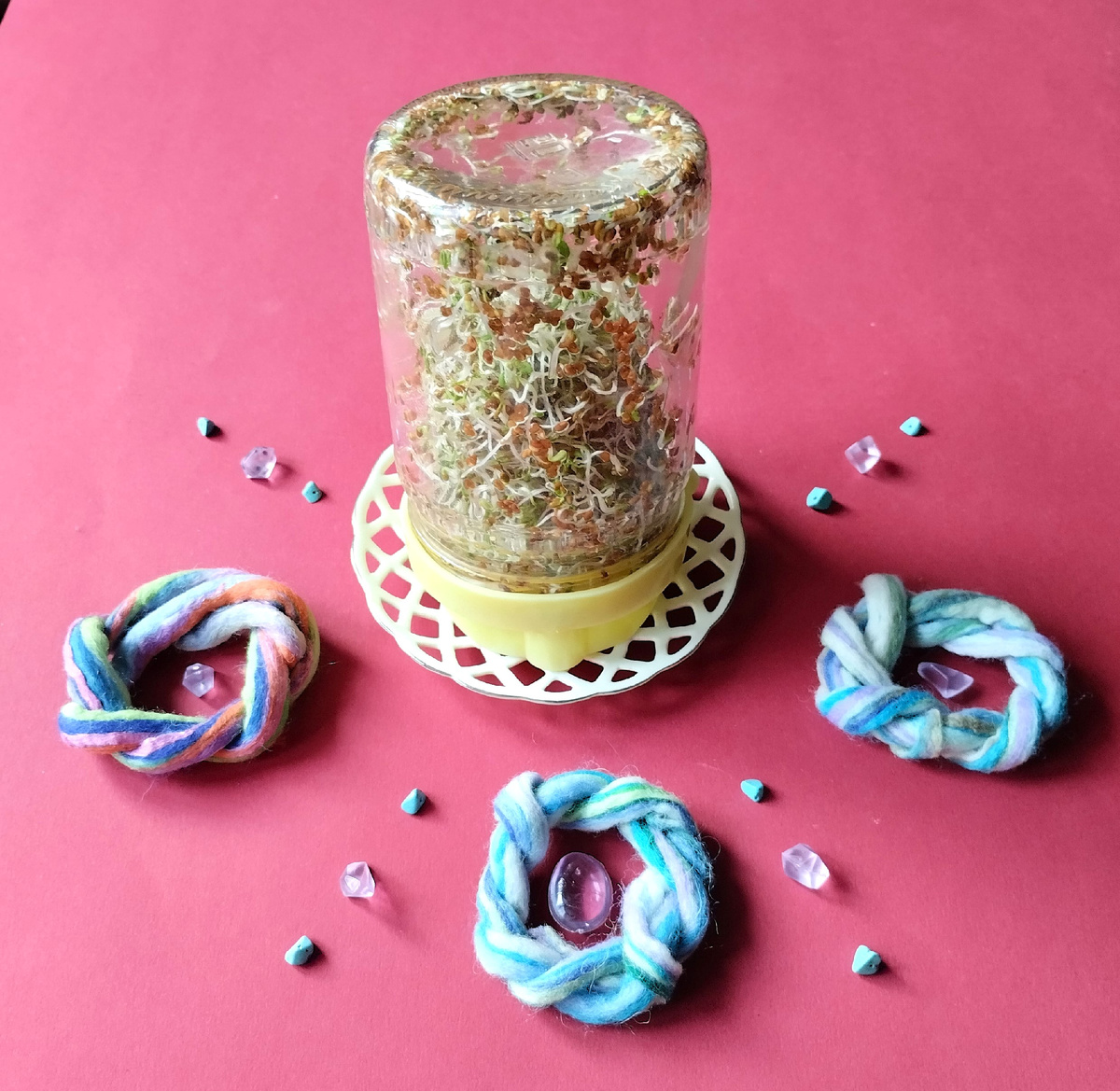 Семена люцерны в банке-сито. Второй день проращивания.