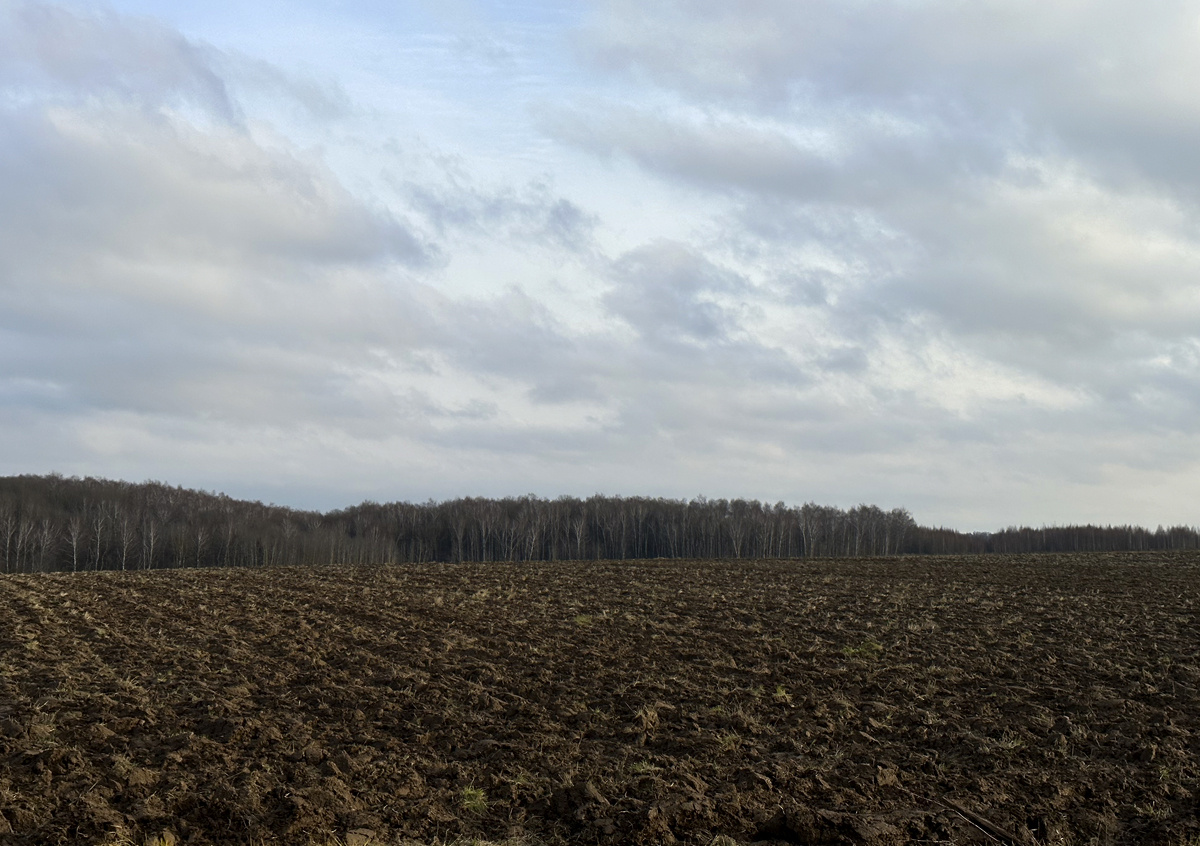 Фото © «Московская газета»