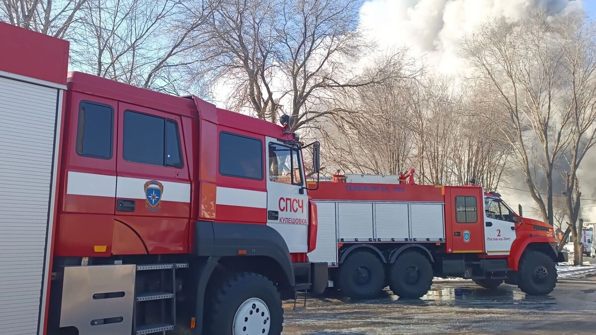     Источник: rostovgazeta.ru