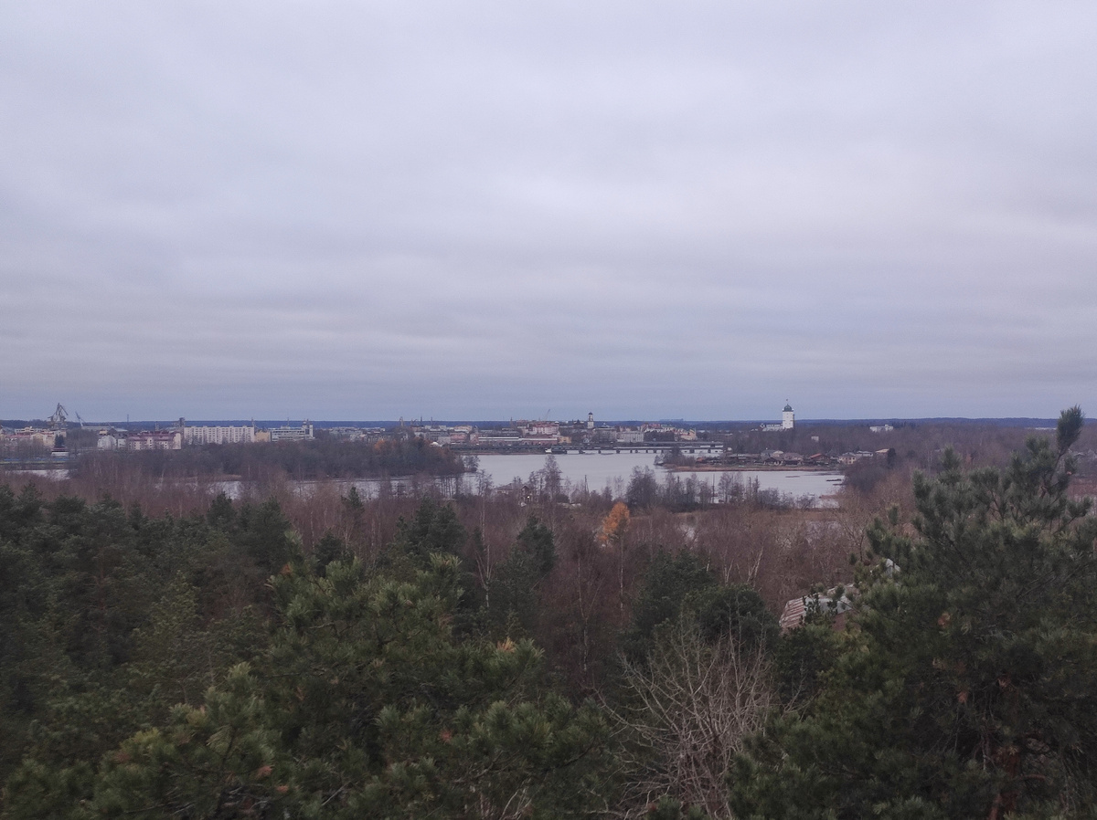Вид на Выборг с водонапорной башни