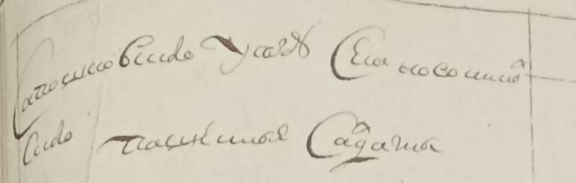 Запись из 2-ой ревизии. Мой снимок.