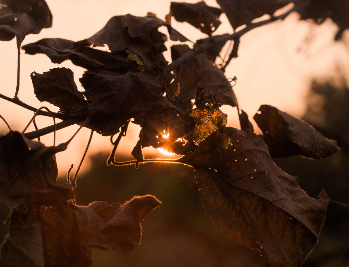 Все фото авторские. 
