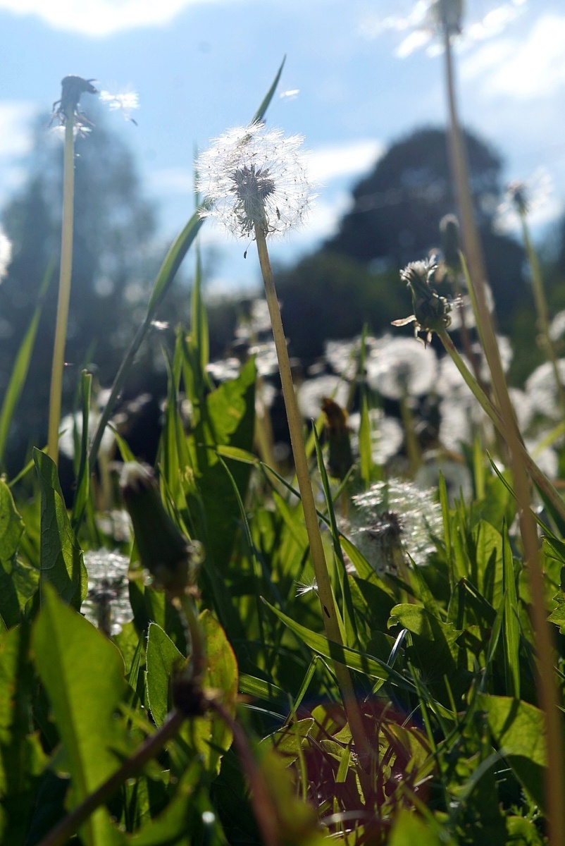Все фото авторские 