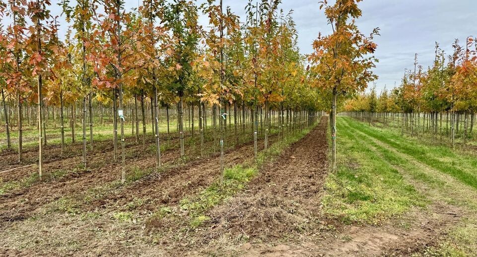    Пресс-служба Министерства сельского хозяйства и продовольствия Московской области