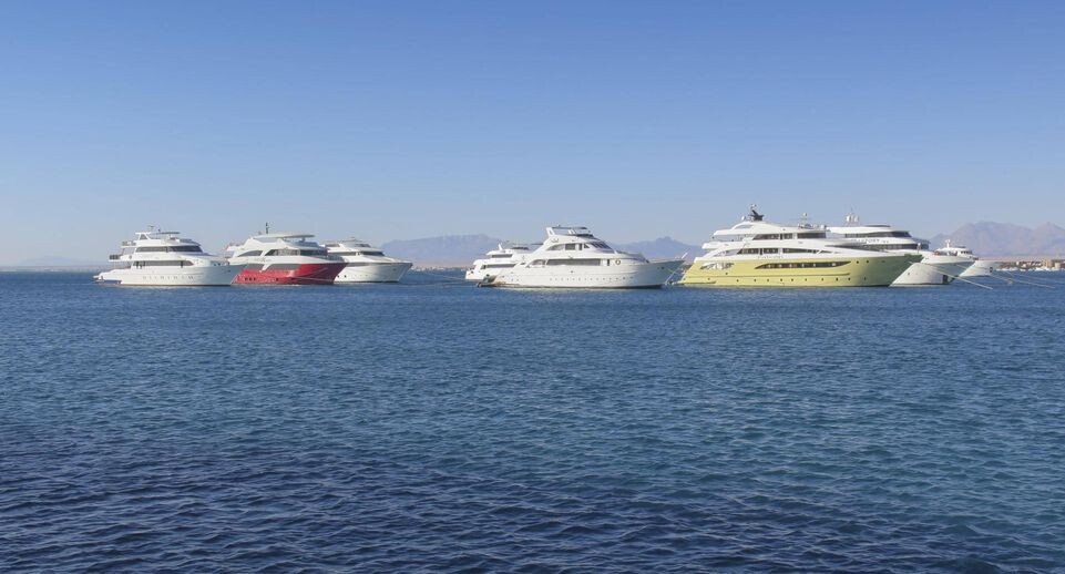    IMAGO/Schoening/www.imago-images.de / www.globallookpress.com