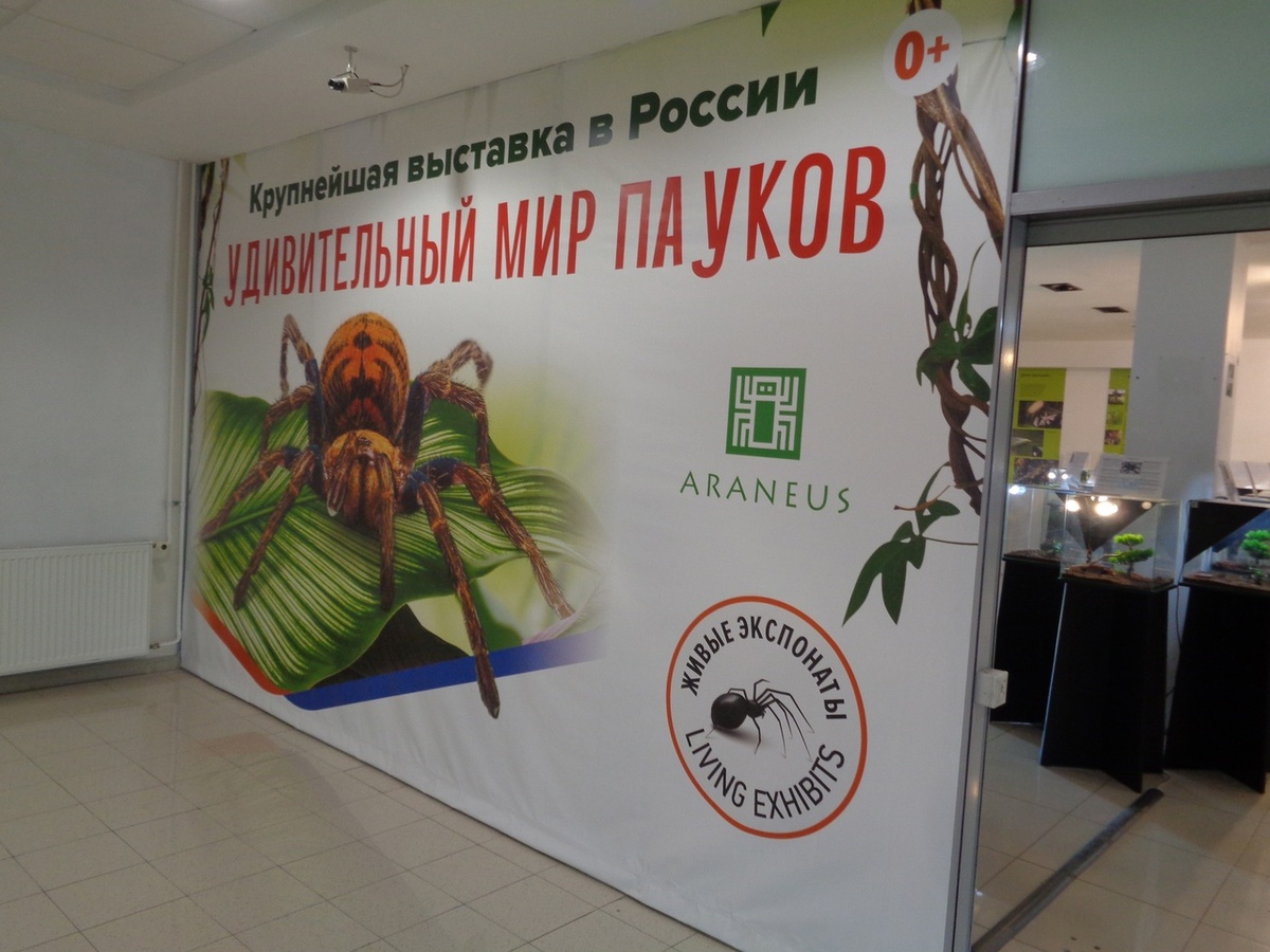    Фото: Россельхознадзор по Рязанской и Тамбовской областям