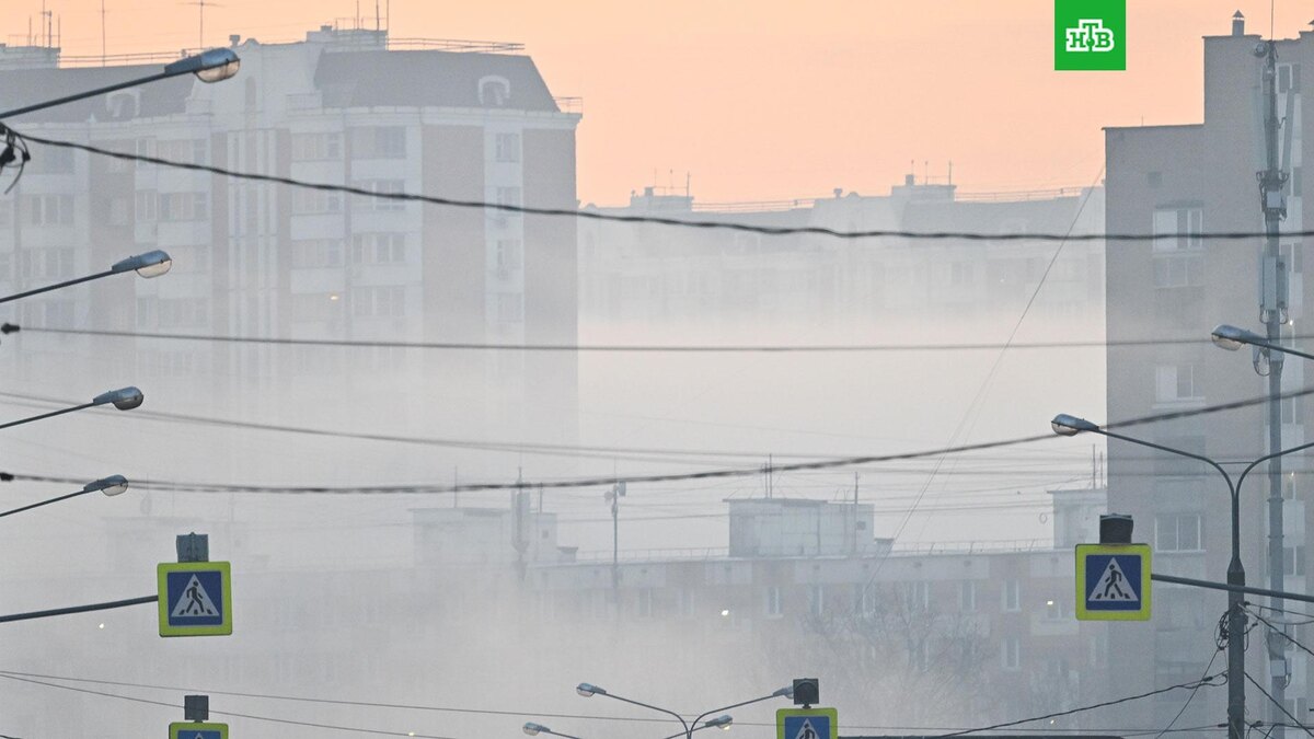    Фото: РИА Новости © 2025, Станислав Красильников