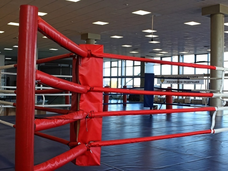     Фото: МК-Кавказ