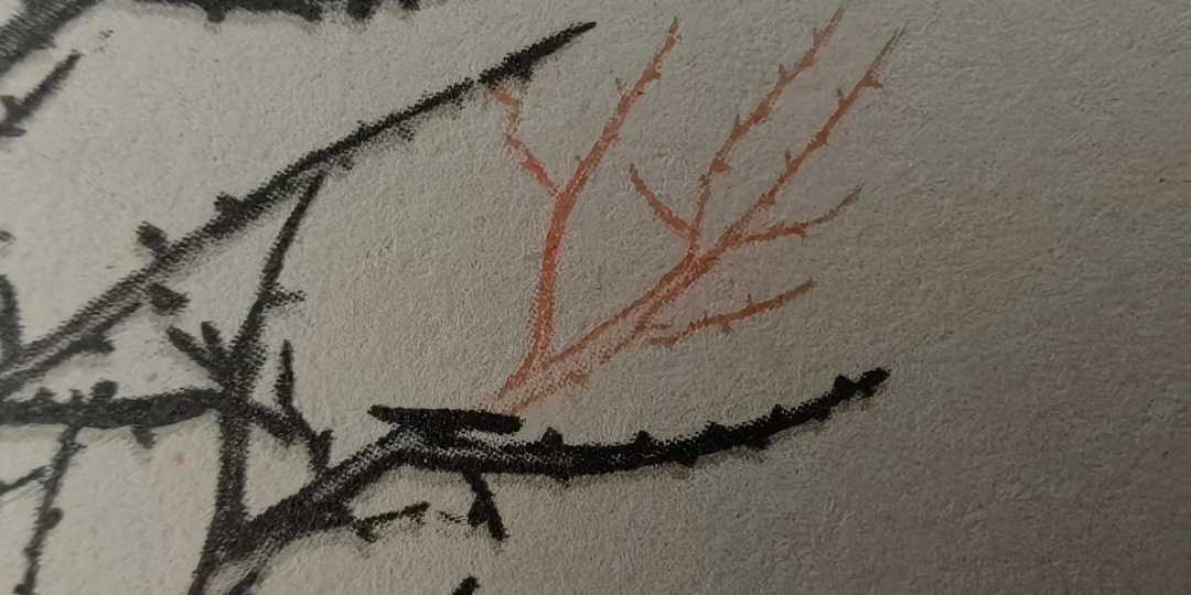 Как понять, что обрезать на дереве, что укоротить, а что - оставить: общие принципы обрезки плодовых деревьев