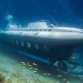    Фото: Sindbad club