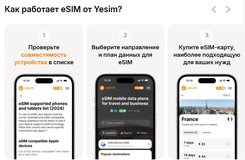 Принцип работы сервиса Yesim