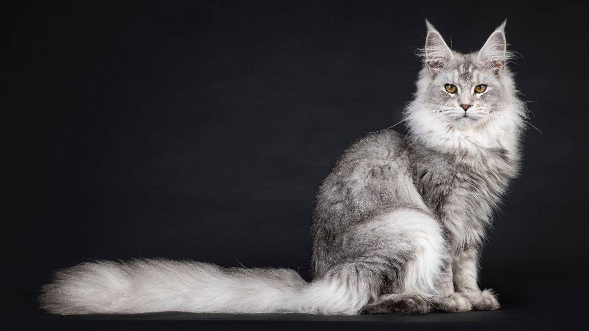    Фото: Shutterstock