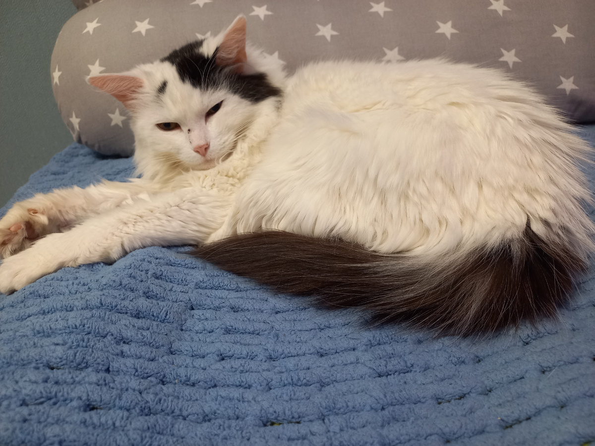 Сами мойтесь! Я и так чистая!