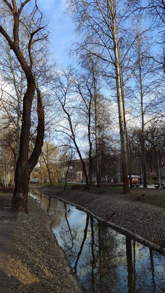 Здесь и далее фото автора. 