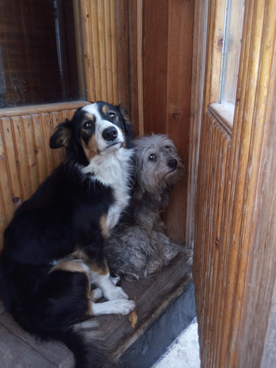 Барбос и Барон