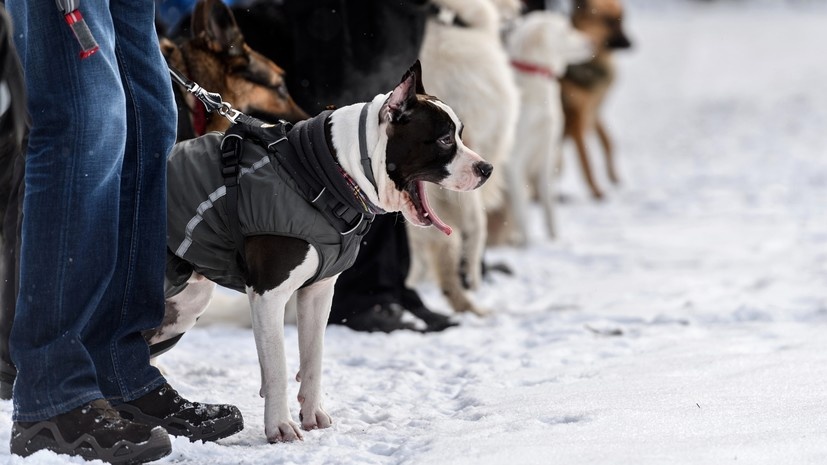   РИА Новости Евгения Новоженина