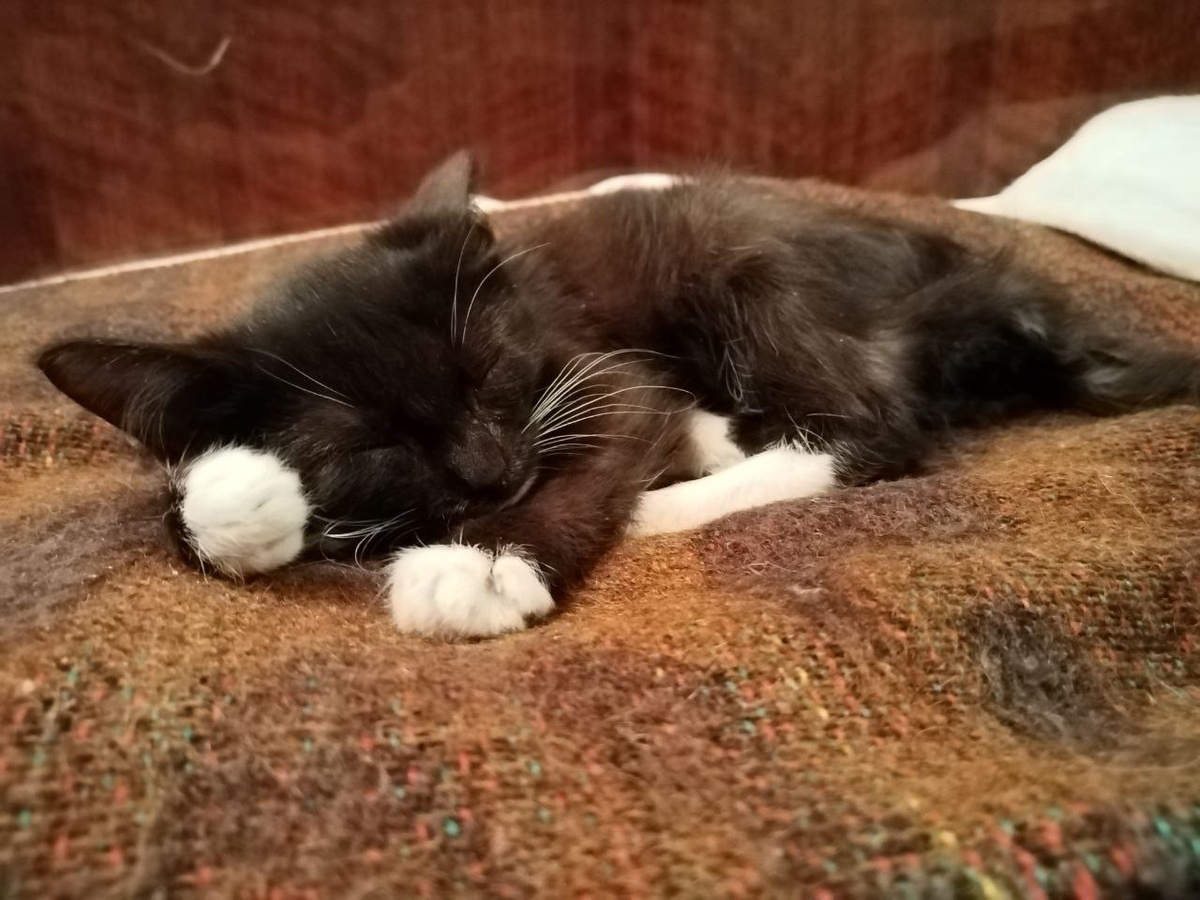 Да вот фигушки вам!