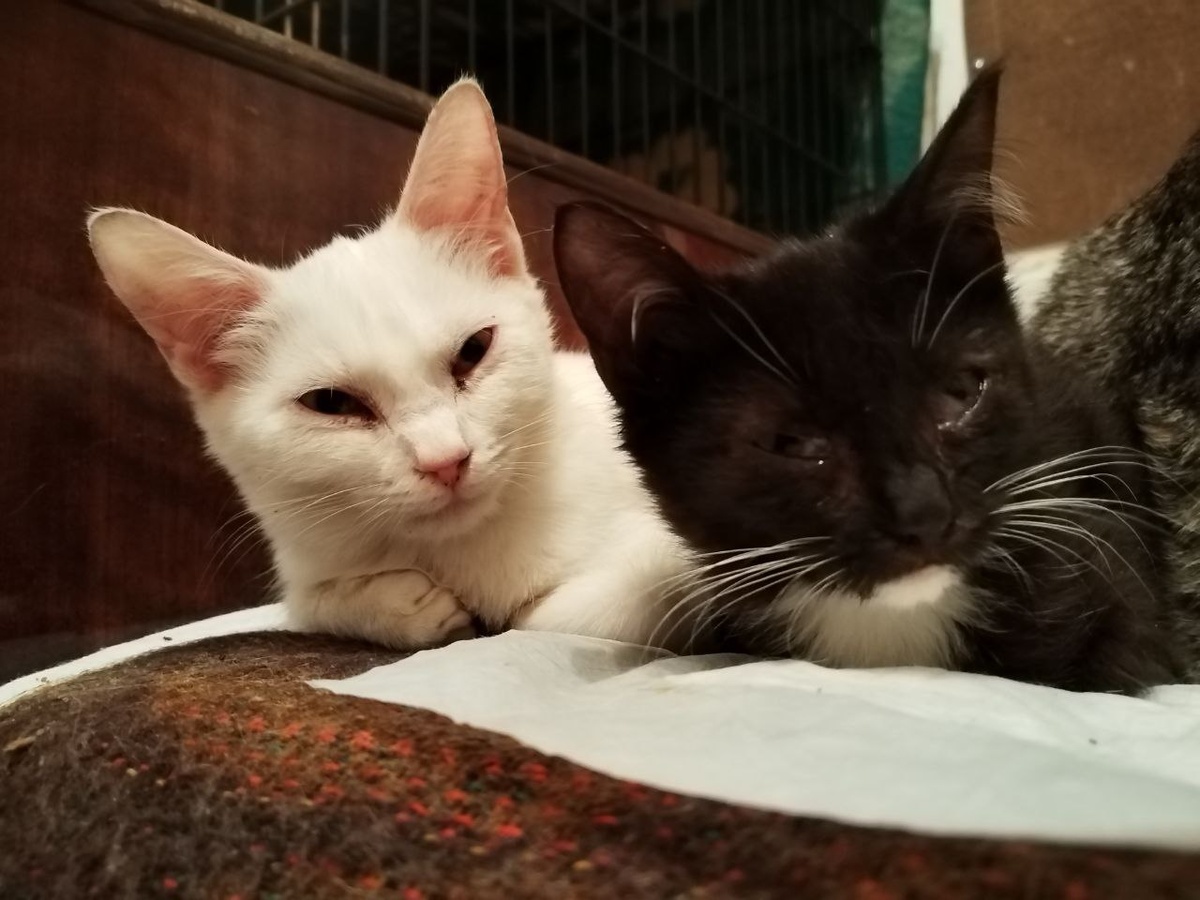 А то мы там такие маленькие, что-то понимали!