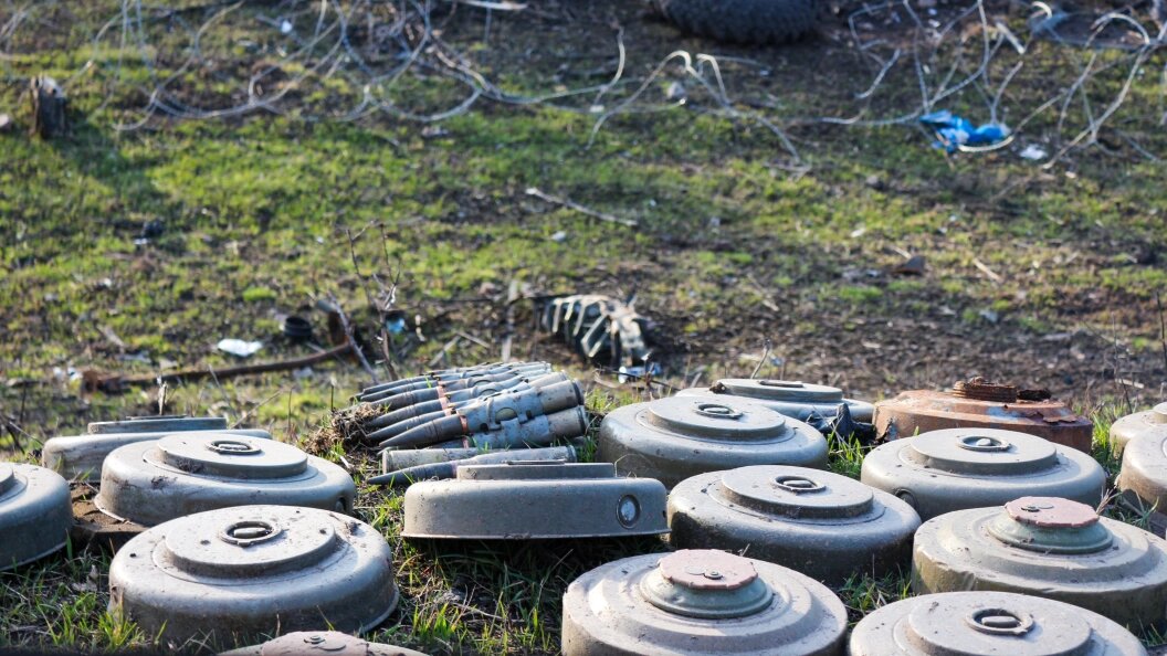    Фото: Konopatov Yuri/Globallookpress