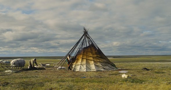    Кадр из фильма «У ветра нет хвоста»
