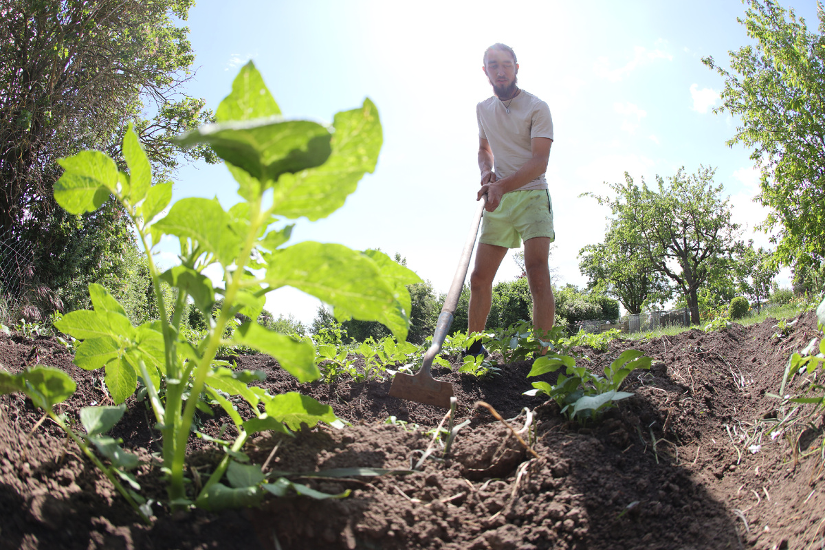 Matthias Bein/dpa/Global Look Press