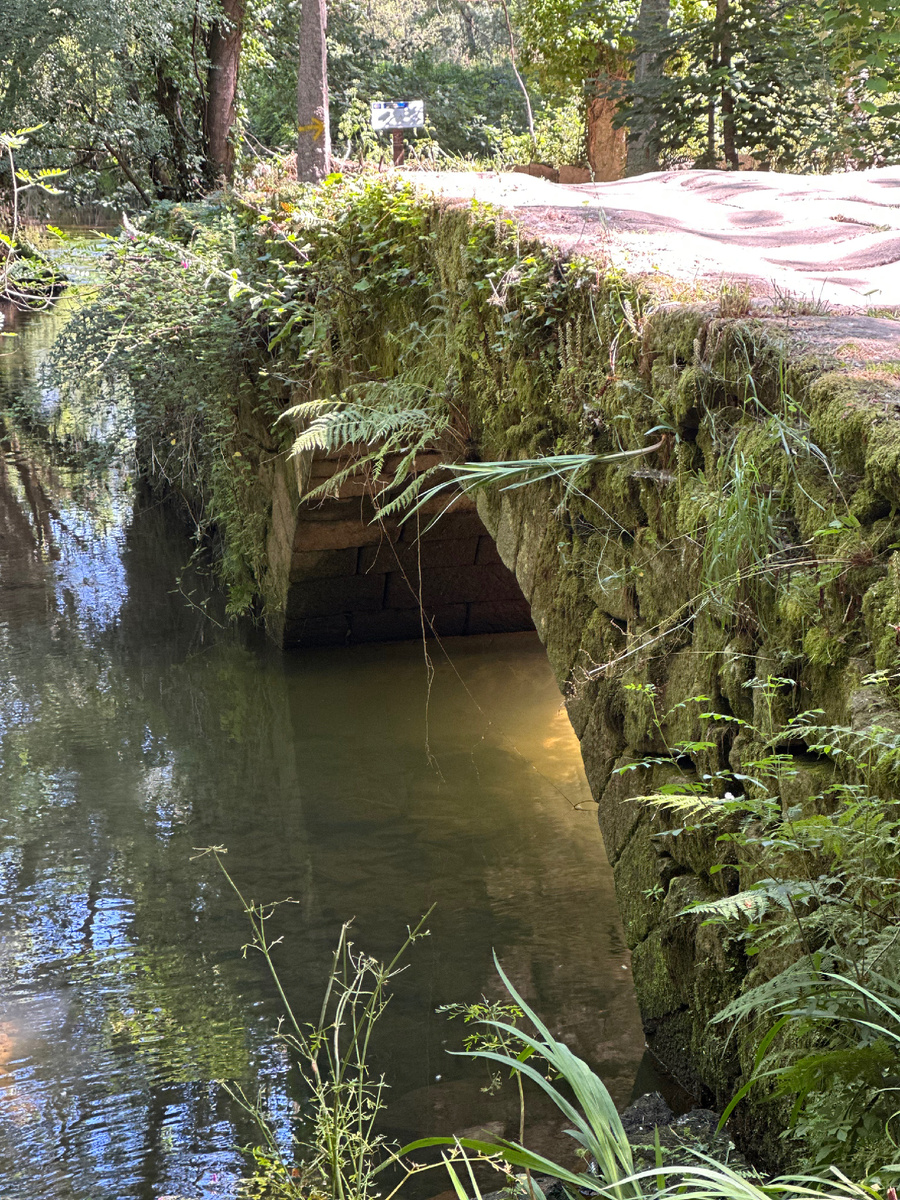 Природа Испании