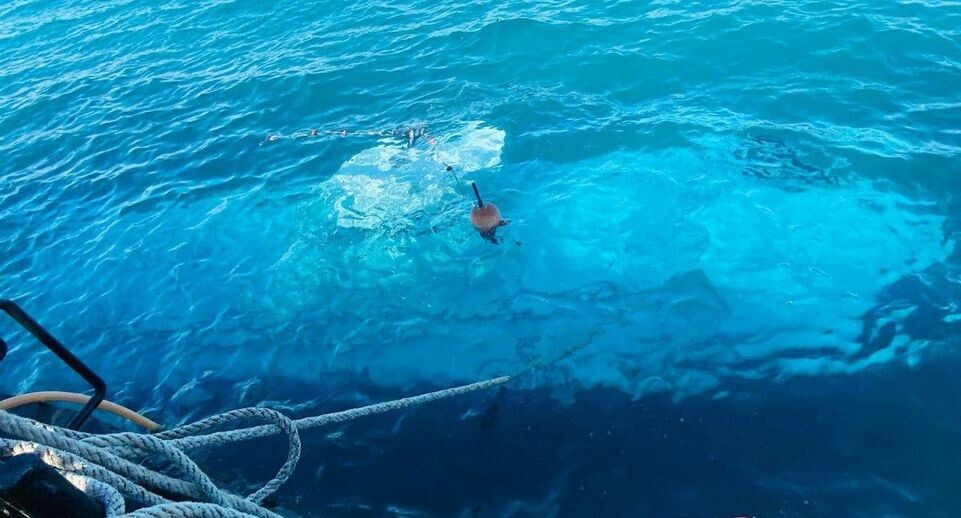    Ali Awad/XinHua / www.globallookpress.com