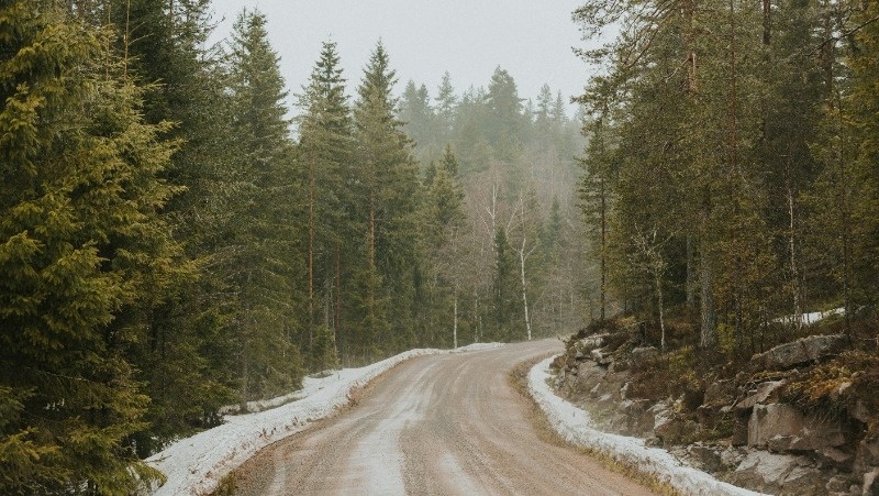 Фото: @maxxna / unsplash.com