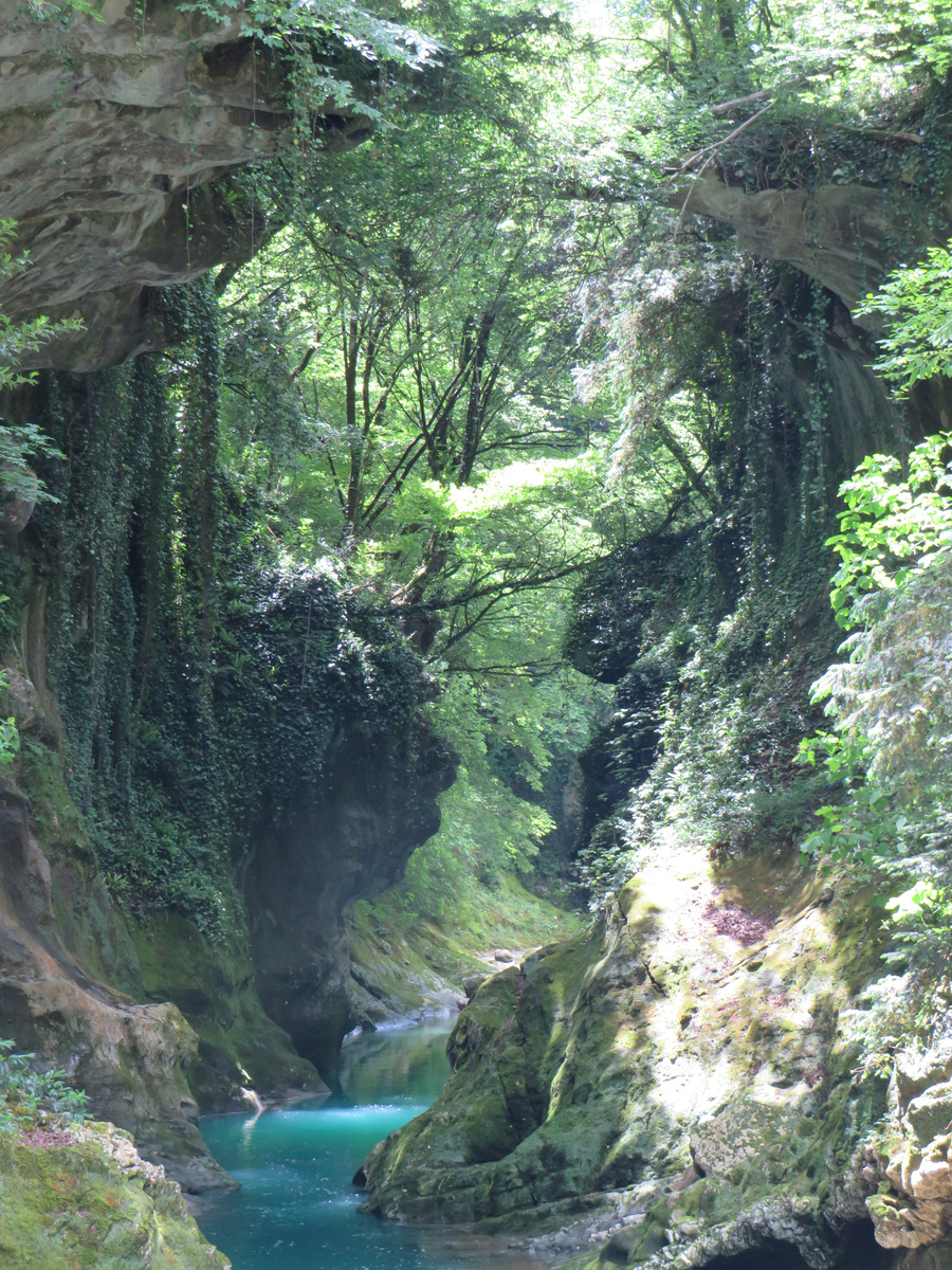 Мартвильский каньон