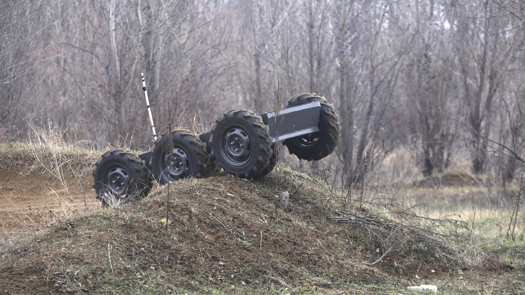    Фото: Jens BÃ�ttner/dpa/Globallookpress