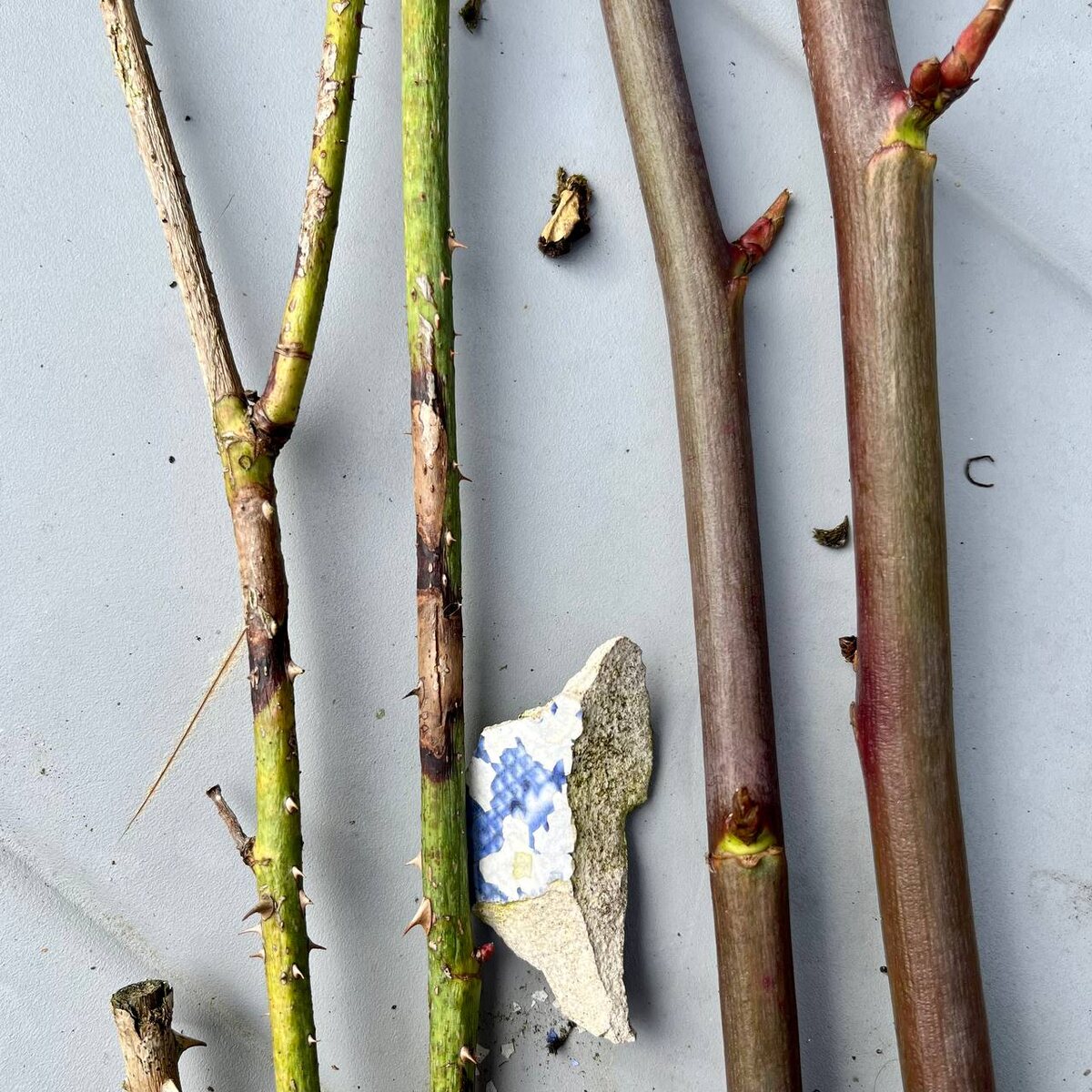 Слева инфекционный ожог, справа «загар»