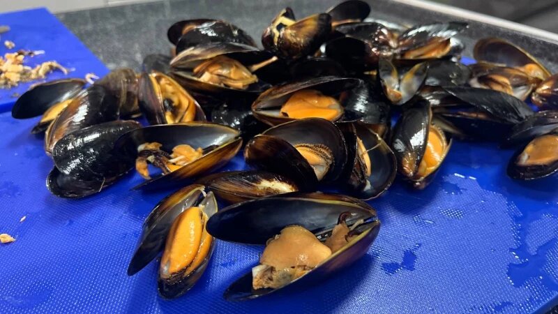     Кулинарный мастер-класс для журналистов altapress.ru