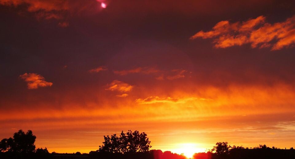    Victor Lisitsyn, Виктор Лисицын/Global Look Press / www.globallookpress.com