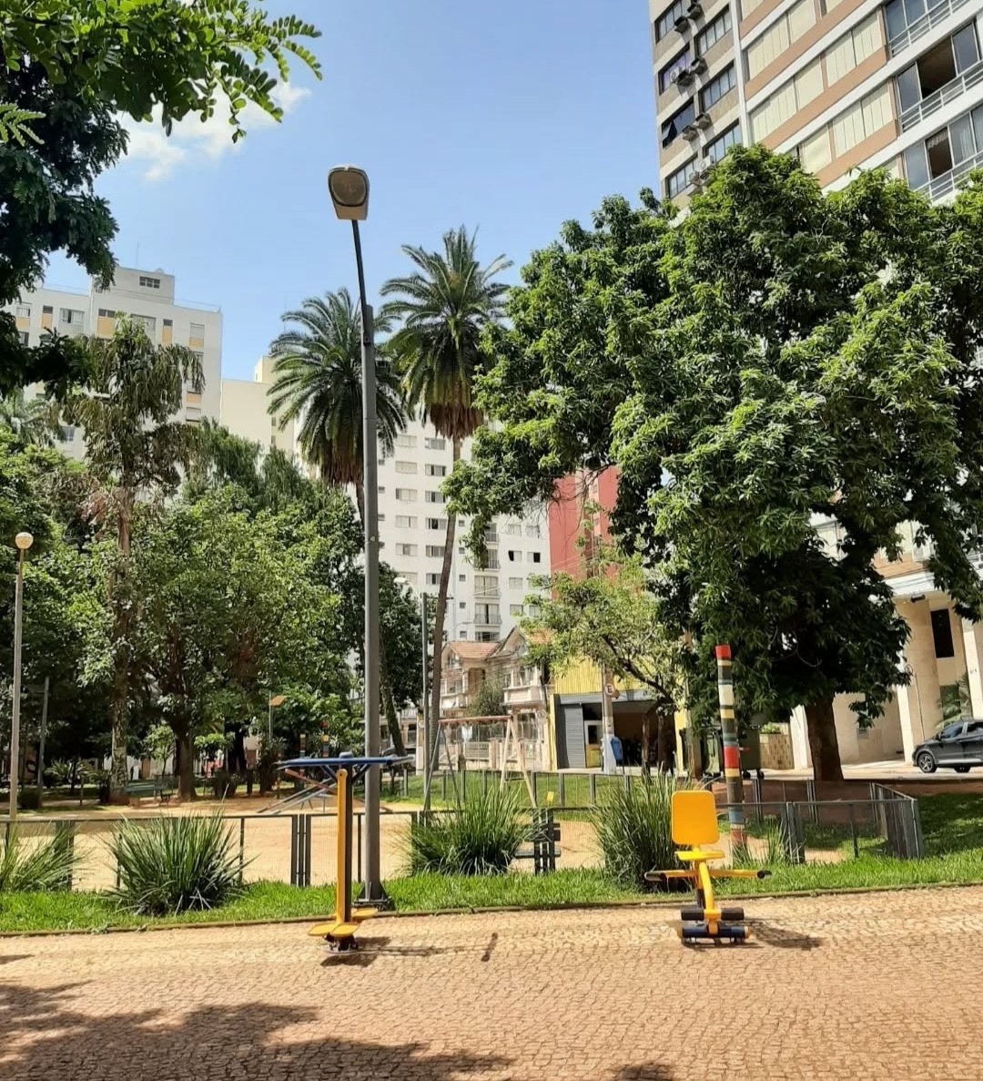 Город Кампинас, штат Сан-Паулу.