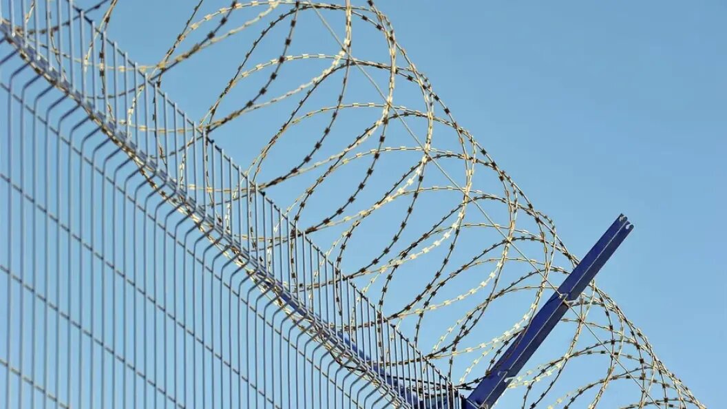    Фото: Царьград