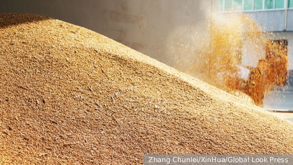     Фото: Zhang Chunlei/XinHua/Global Look Press   
 Текст: Антон Антонов