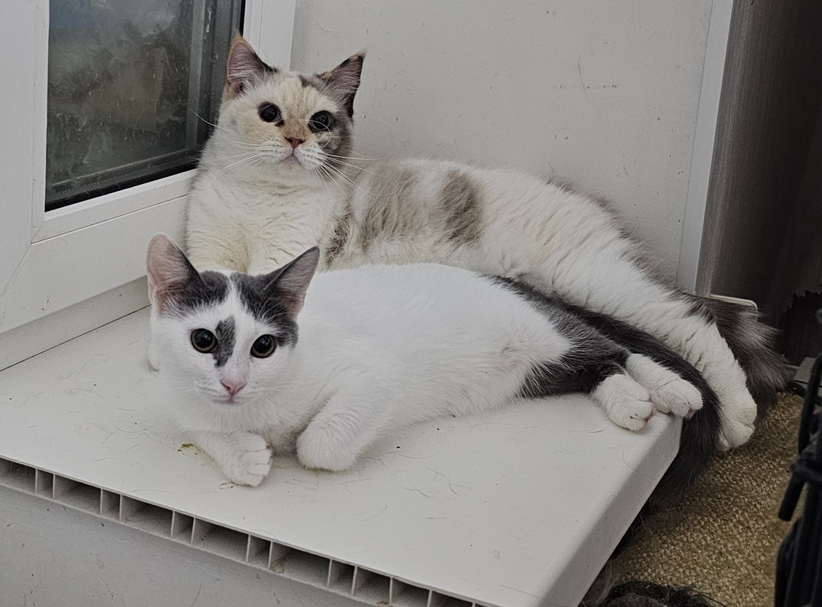 Фото автора. Девчата.