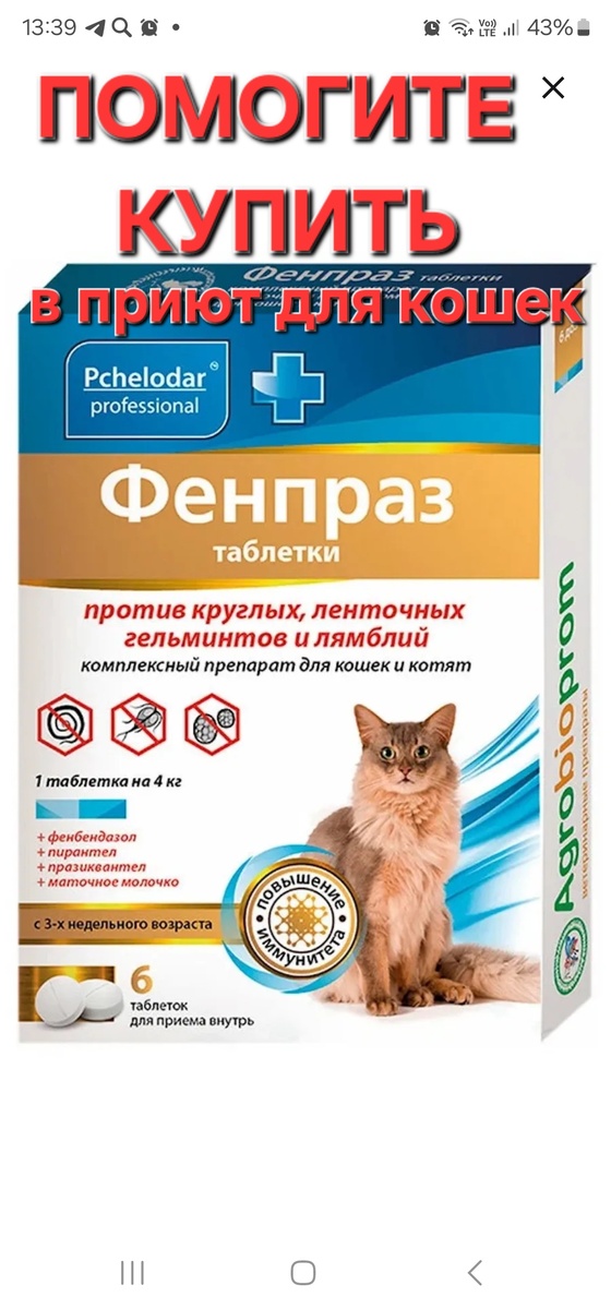 Фото автора. Вот такое лекарство ФЕНПРАЗ нужно приютским котикам.