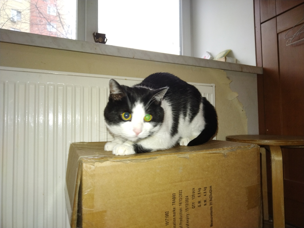 Наш Феденька