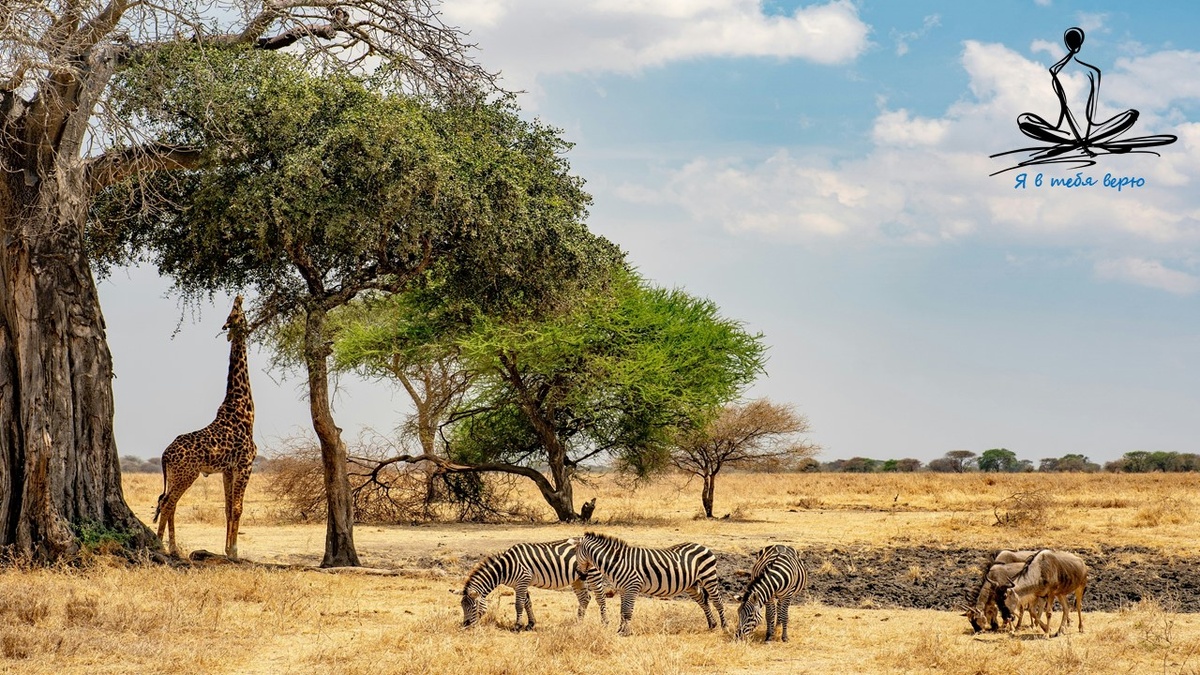 Фото: Питер Томас