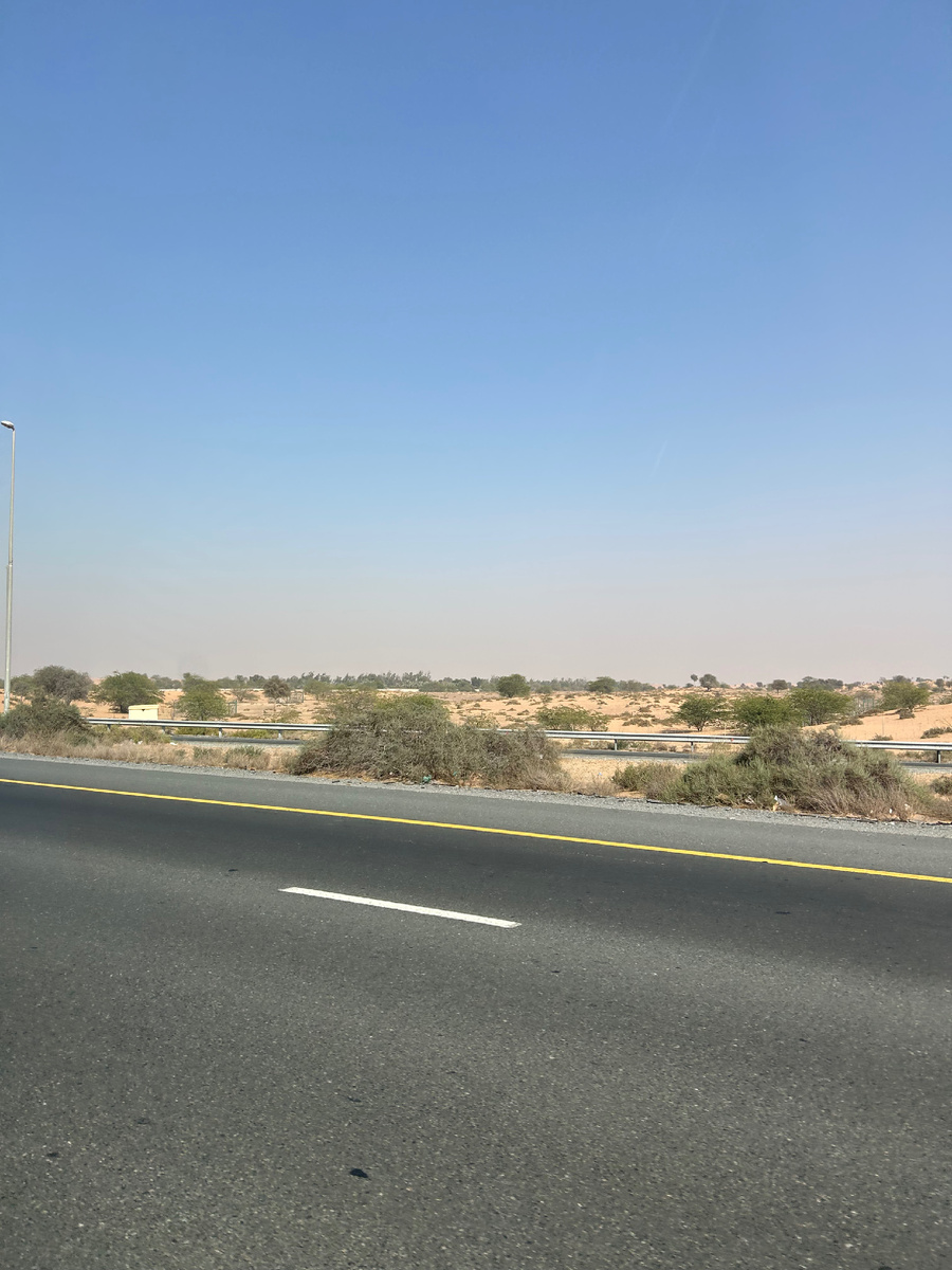 Едем в Рас эль Хайму